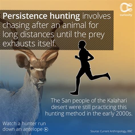 persistence hunting and evangelism